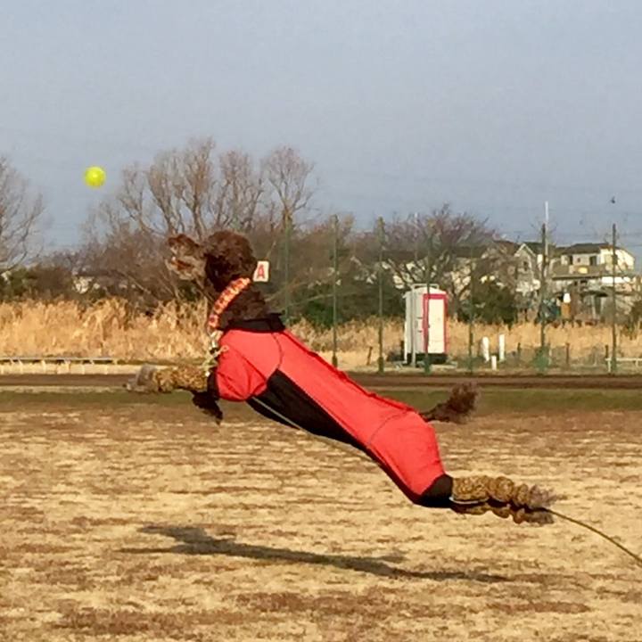 7ec0742d 0916 4d6a 9699 9a19d9ff6b1d 1518760512680