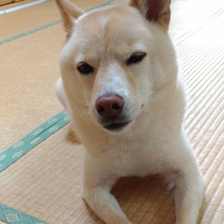 7ec09130 4dd7 4cde a0a7 77651651914a 1569196744171