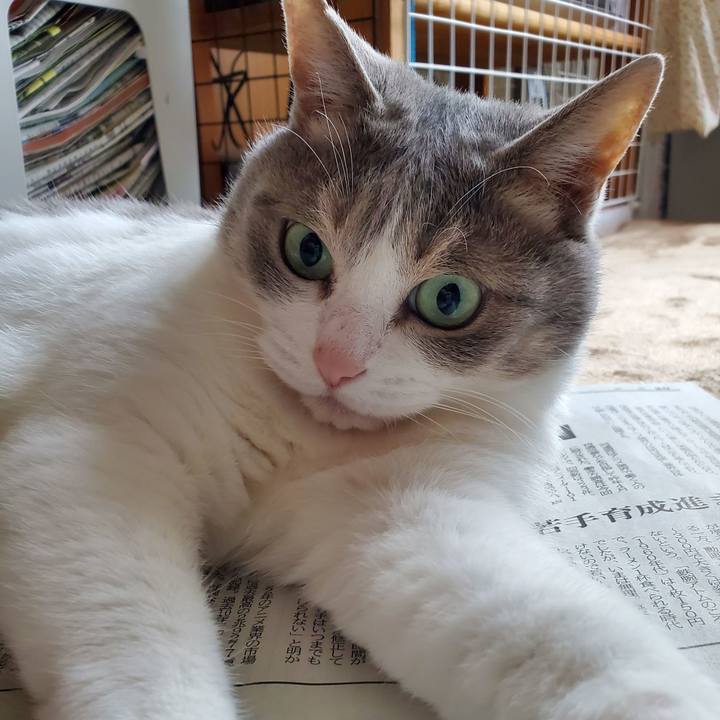 7ec09f35 5772 4638 a812 7aadde1a996a 1716950045080