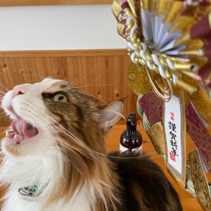 7ec0ab18 d742 4fda a77b 4b072bec7fd3 1672454360444