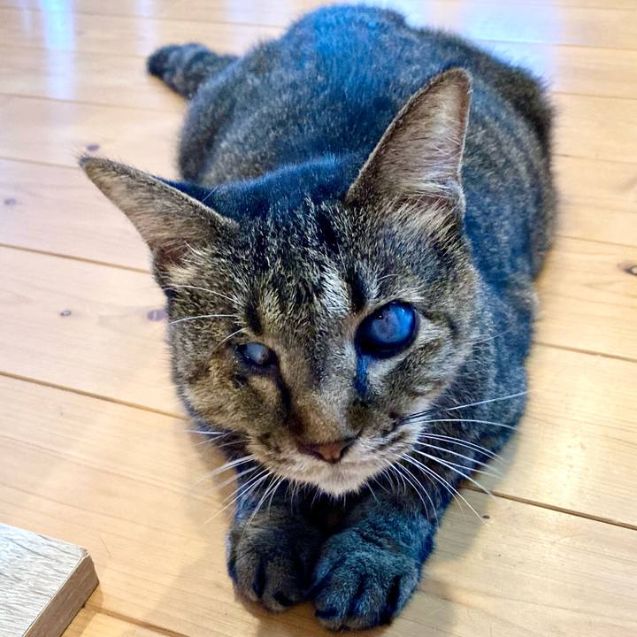 7ec0c99c 37e3 4750 8f84 60ecb1986624 1660043380278