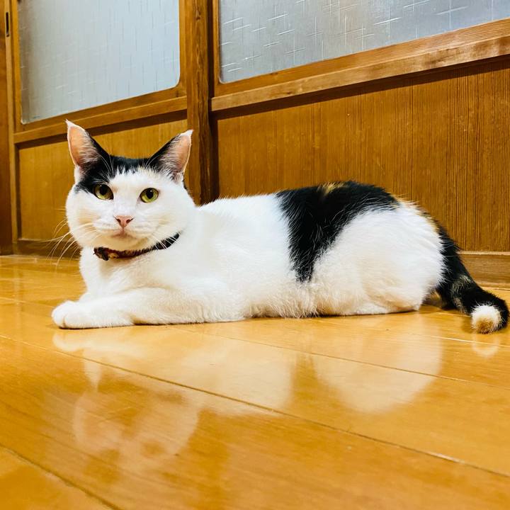 7ec0dcb2 7d29 4eaf 8c2d 207858118c16 1692397161889