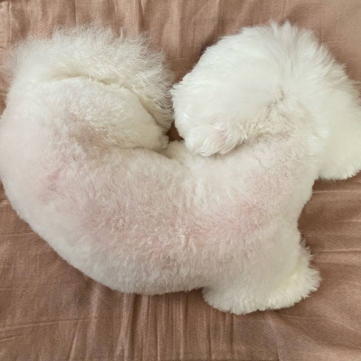 7ec0f347 9839 4818 a676 c1858d1019a0 1633414924775