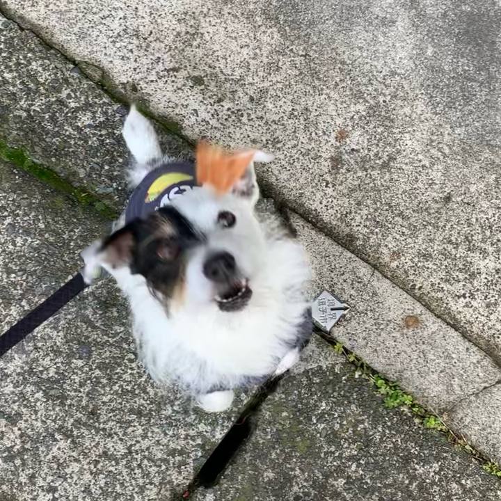 7ec1450e 90b7 49c2 b89e 70447b801760 1680135288587