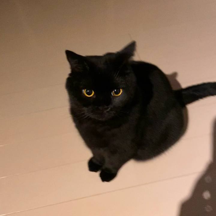 7ec14815 9708 4dbe b181 13ee1c740fd1 1632307983505