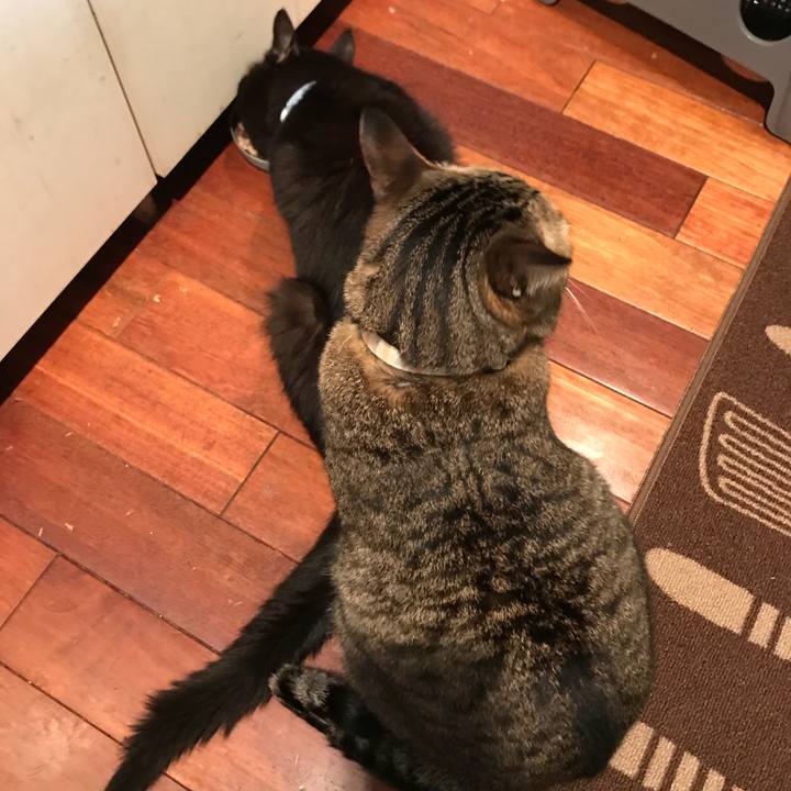 7ec152fa a8ba 45ac 906c e320d25b44c3 1526375265411