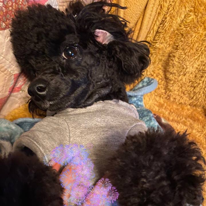 7ec165ad 560e 4364 b527 3a82671e7191 1578576631426