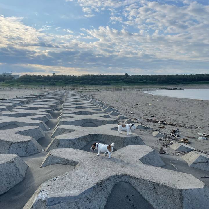 7ec16dc9 d598 4924 b283 b9de23f7a619 1759285453870