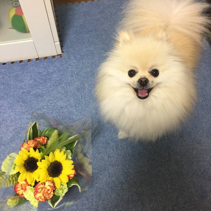 7ec17389 2e8d 4bca 8fa2 b68a07eb27c4 1530869349522