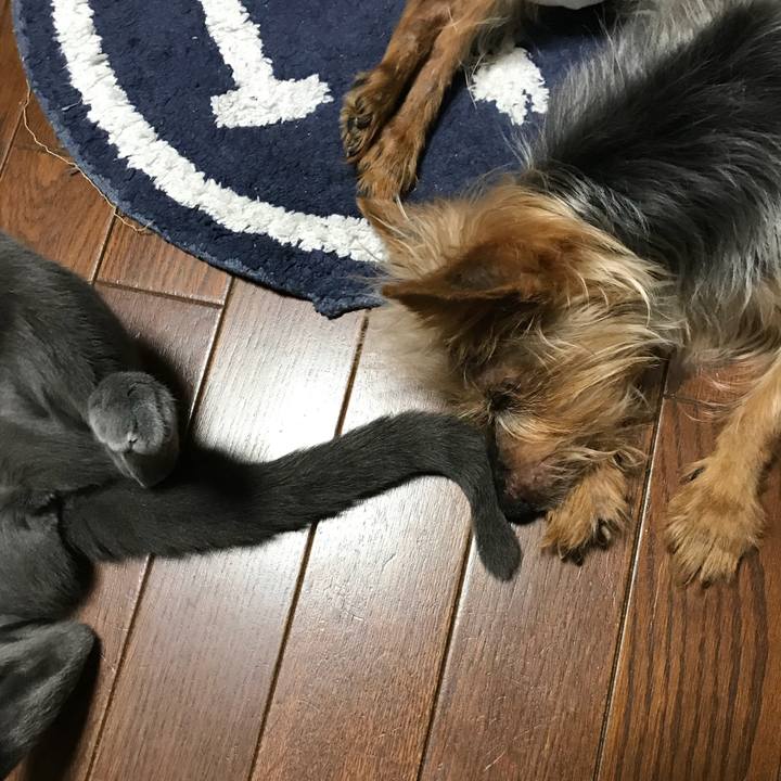 7ec17c3d 80c9 4ea3 b2ee 810cf645d917 1530944070973