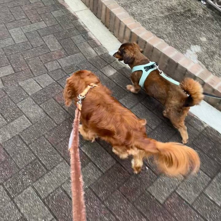 7ec1859e af4d 40af 8a74 7ffa527c36f9 1694130427218