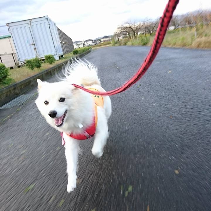 7ec1d457 0bd1 439c bbe7 035e90ebf746 1509400033125