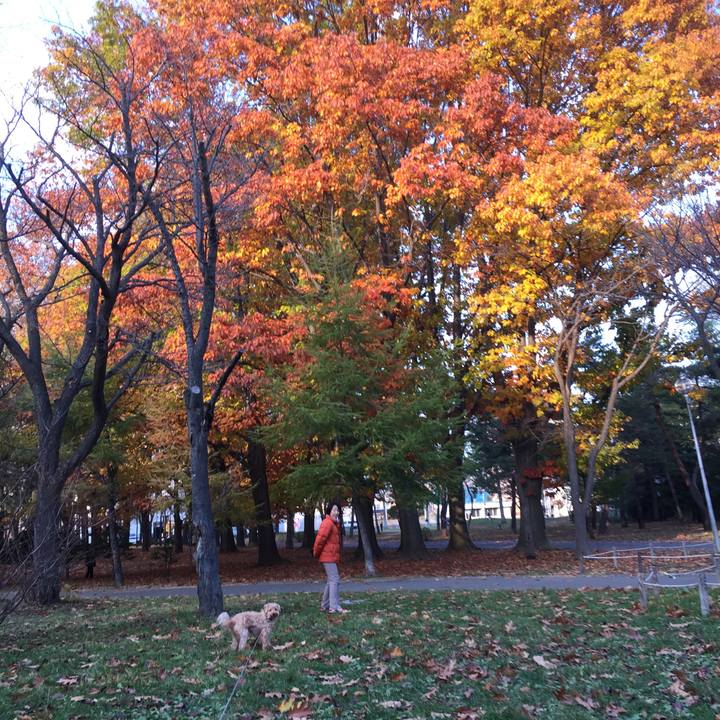 7ec1fb83 b0dc 4c76 9ea1 58fae8650660 1509956659309