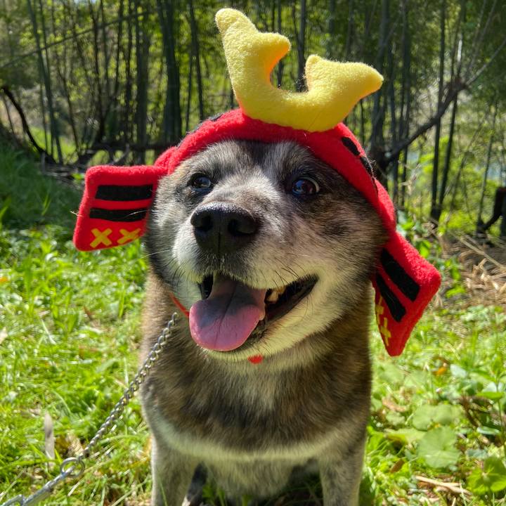 7ec2046a 246c 4881 b9b7 38e5f6fe027c 1683278736823