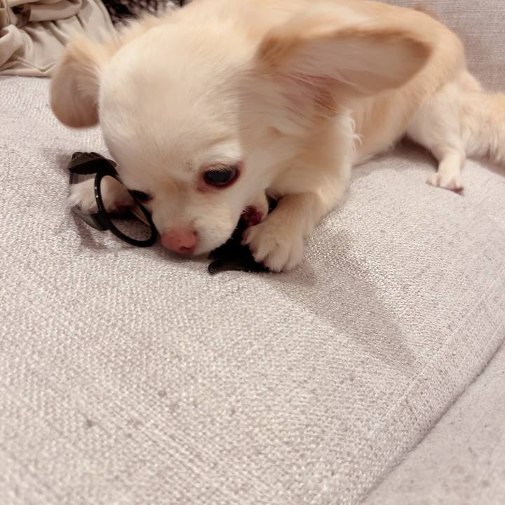 7ec255d0 3329 409a a91c be9ab7ef97a1 1716691629586