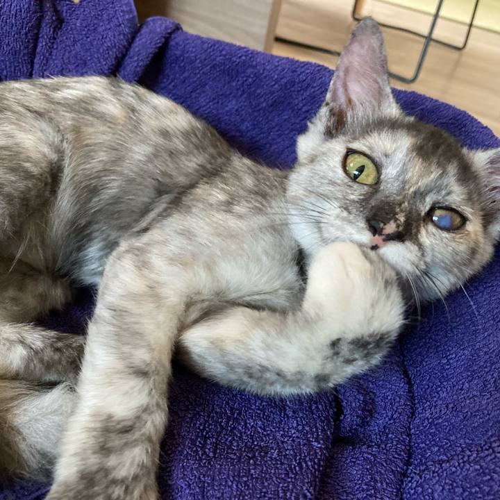 7ec2897a 9752 44a8 b9bc 7651471f9302 1694329962593