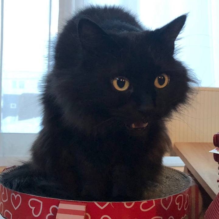 7ec2f6c2 33da 446b b9ab 93f084f05168 1549474994471