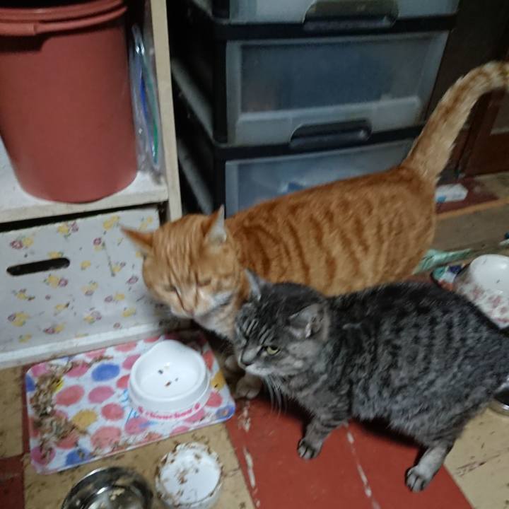 7ec31cc1 4af8 4346 828c a2d26e533744 1578646536099