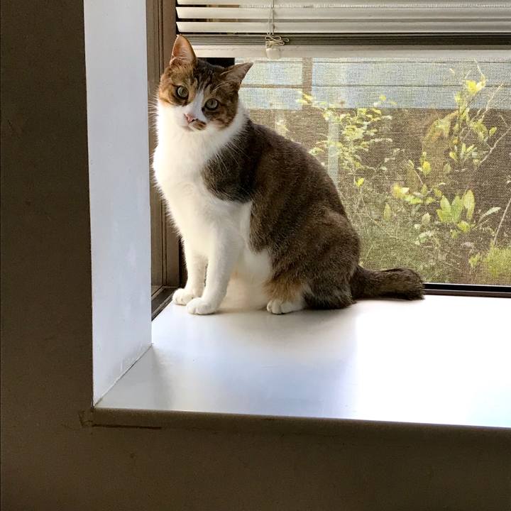 7ec3203f 5ecd 47d3 b5c4 07ffaae240dc 1540434455045