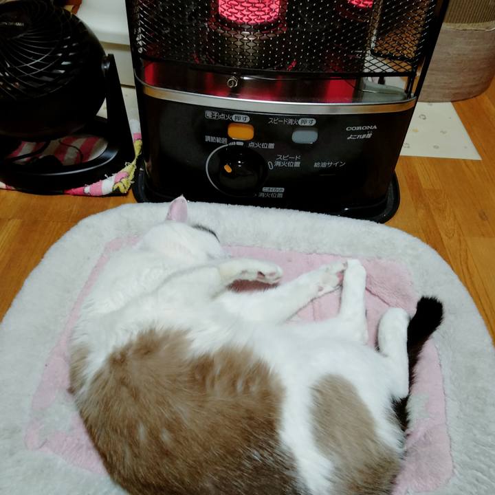 7ec3229d 33dd 4ded 9f99 13ef62f75079 1682437061185