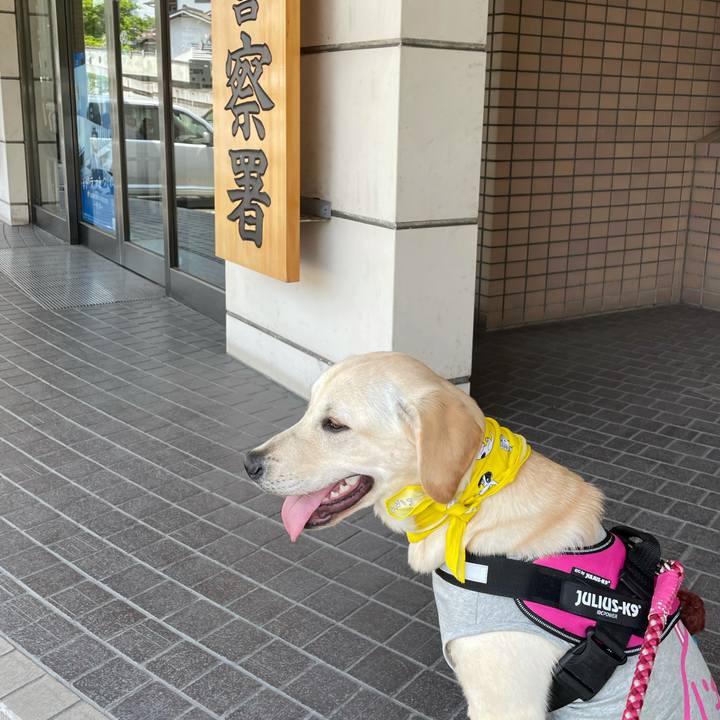 7ec34e22 26fe 4586 a030 8ff22ff666d4 1623067675313