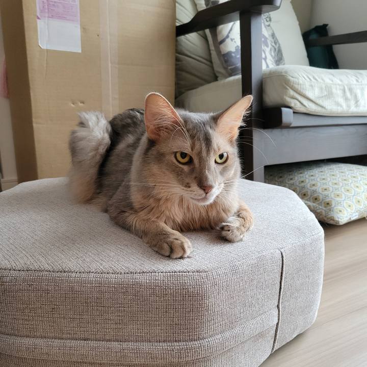 7ec3d85b 7b9a 413f b53e cb3a3bef75b2 1631864593013