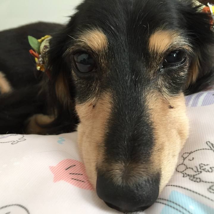 7ec3ed08 4159 4b2b ad4c ad472a216d92 1567478903398