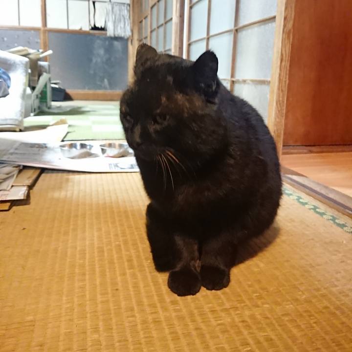 7ec3efec 670d 4a28 9205 ccffdbdf6ef8 1615282767012