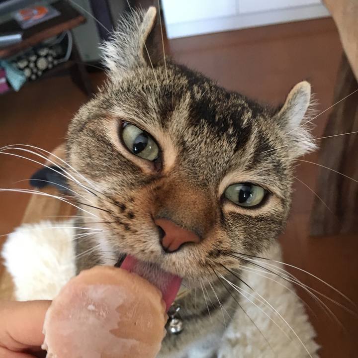 7ec42a26 a91e 427d bd54 238584bce793 1537062487742