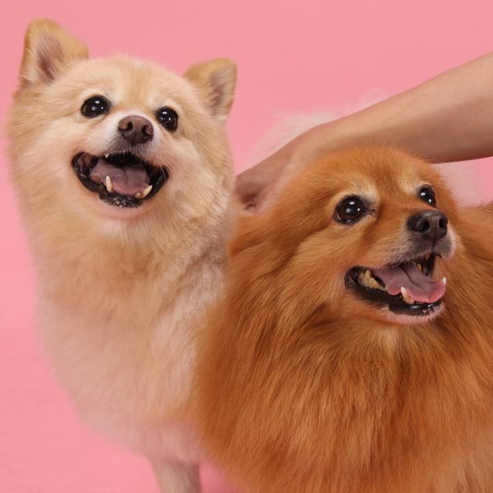 7ec46dab 95a3 4b99 87e7 d6d00362bb45 1535899389634