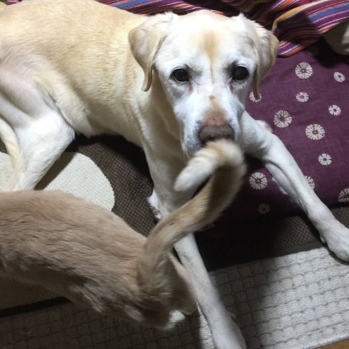 7ec4dda4 e75e 4d8e 87a5 f018172335b9 1521286437301