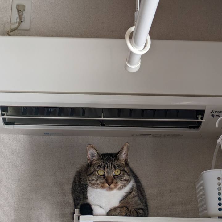 7ec4eabf edcf 4c77 9e0d 73e24cd955d5 1689121074691