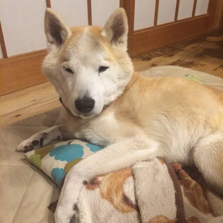 7ec4eb3a f38a 4e89 bb08 c10e0db9be14 1577197954887