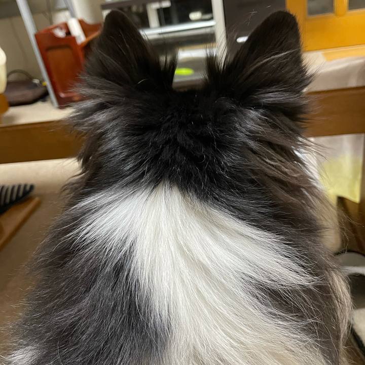 7ec50fb9 7dc9 4d3f 8bc8 4792460f015b 1611265820337