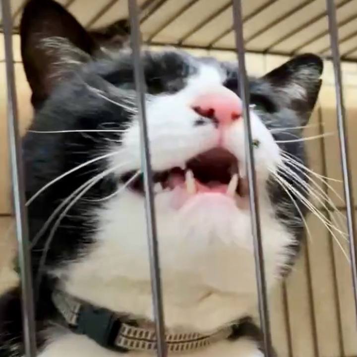 7ec576de f097 4cc7 b6ab 9c4e365a5a7d 1741751764947