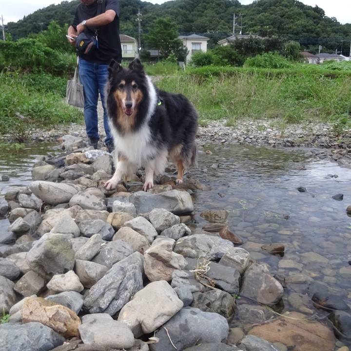 7ec58416 6286 4770 8e91 bd06b2ac6a93 1596285283073