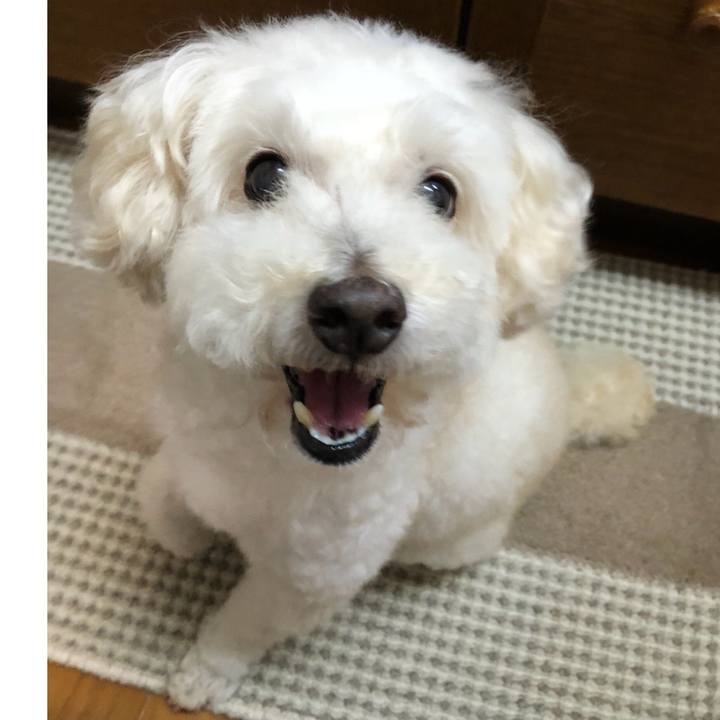 7ec585de e0ef 4969 9666 e8610ea1448a 1534463067614