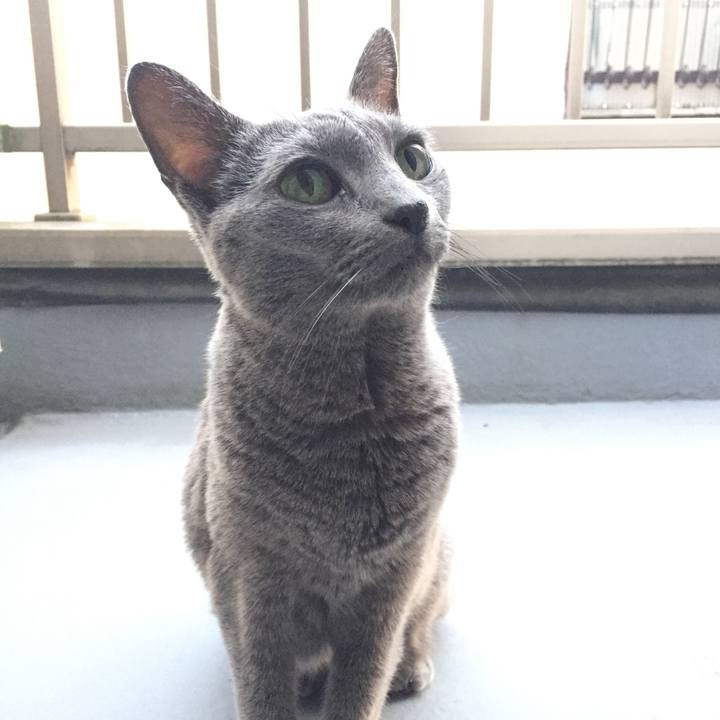 7ec5c542 13d4 4d2d 8cb1 9072694d4290 1539998415433