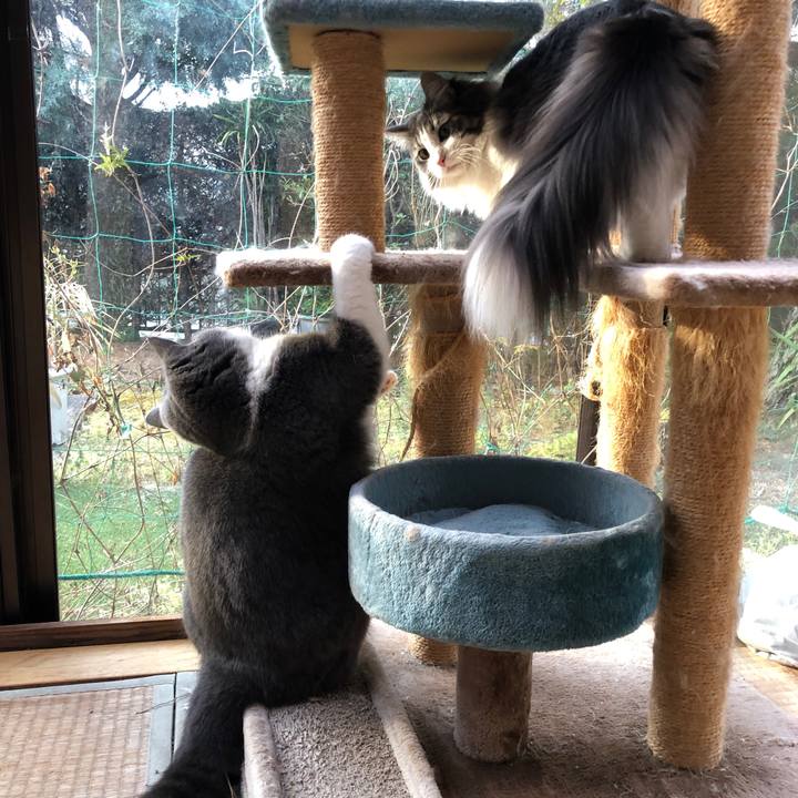 7ec621b6 b724 4bef 9a99 b43b8ceed18c 1551874142760