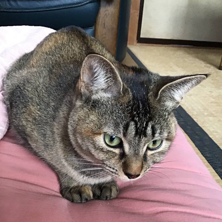 7ec65525 1cb5 46ef b38f e1a253d61b76 1581137781329