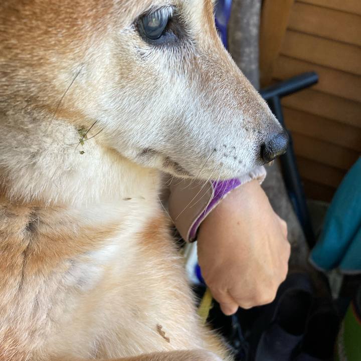 7ec65baf 4370 4884 8c07 62d781cf12d2 1699949571817