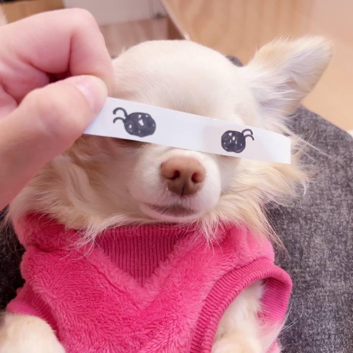 7ec67239 594e 43b0 8758 1f06df0a0113 1740733512006