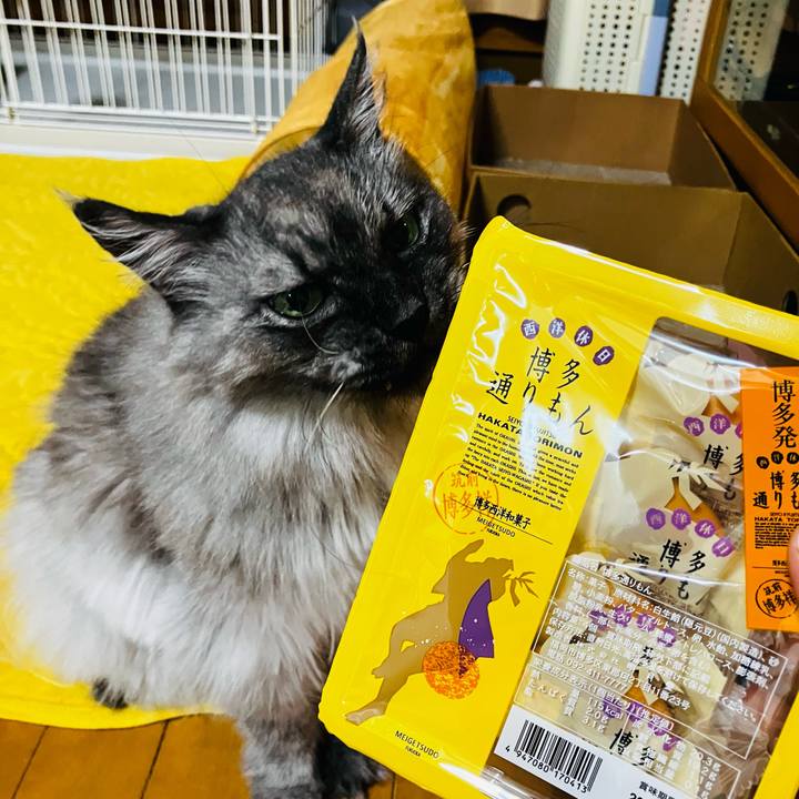 7ec6a64a 3da9 4f1e be1b 57095f6fb4a4 1753354927205