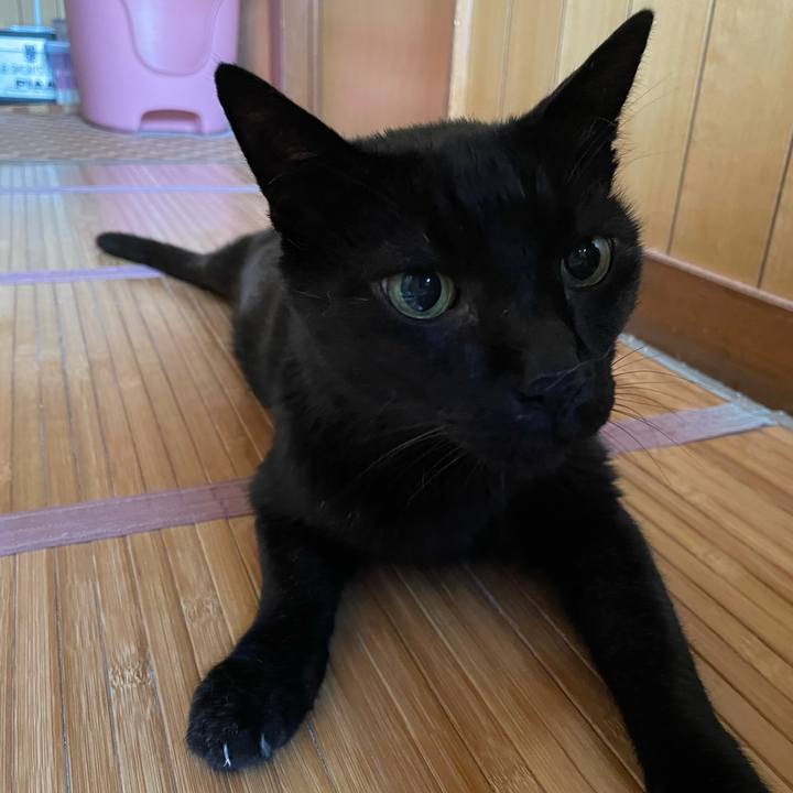 7ec6a714 7496 46be b66d 4aa85a3679d7 1627865200136