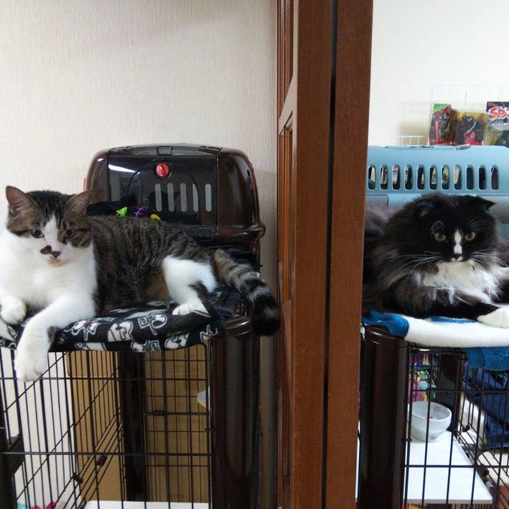 7ec6d317 90fd 4c32 b7f3 8c0e78b73375 1665549104530