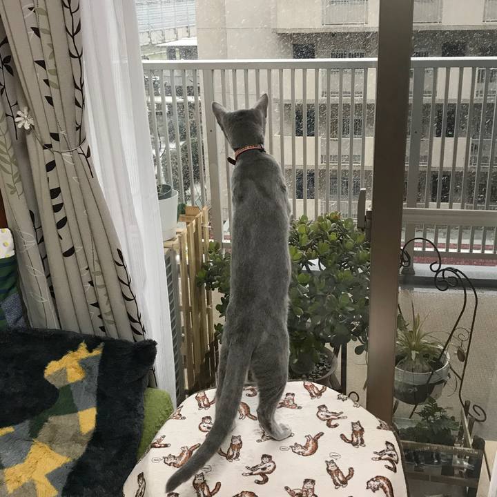 7ec73774 c662 42e4 bbf0 ea577c5ac629 1516628791762