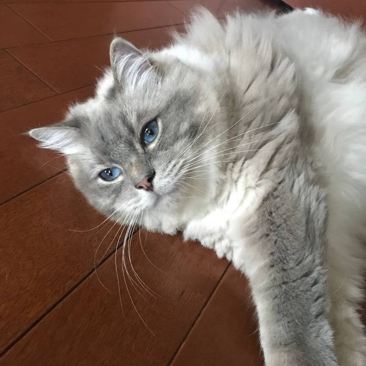 7ec753bd d79f 461f a8c7 c15ac3002e5e 1531541089765