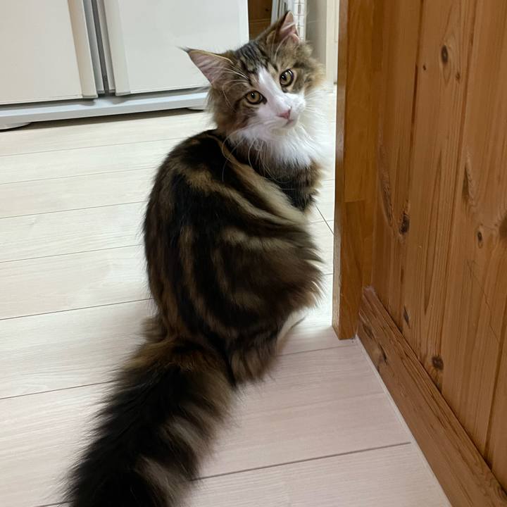 7ec76218 1525 489e 82e6 0761885671cf 1638003939049