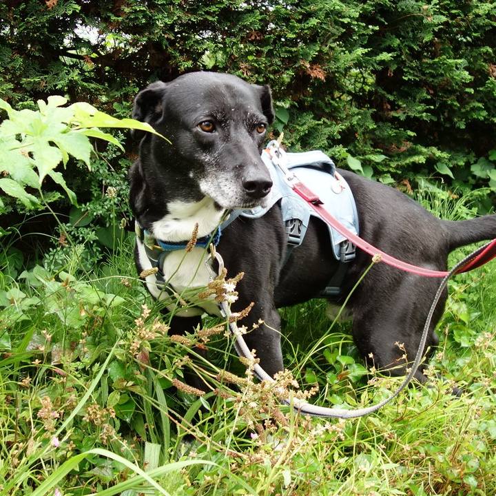 7ec7e375 3e1e 4e53 9d06 ead68be3b3af 1718497935631