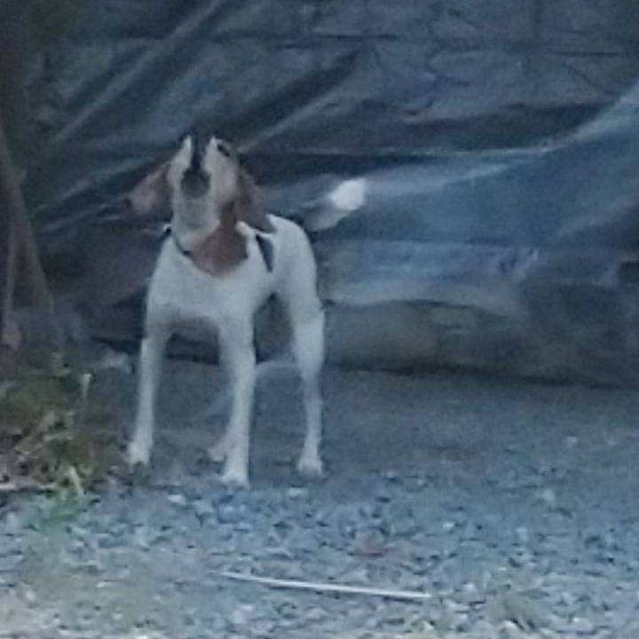 7ec82742 9d06 412f 8590 636f9aafe98a 1597970916838